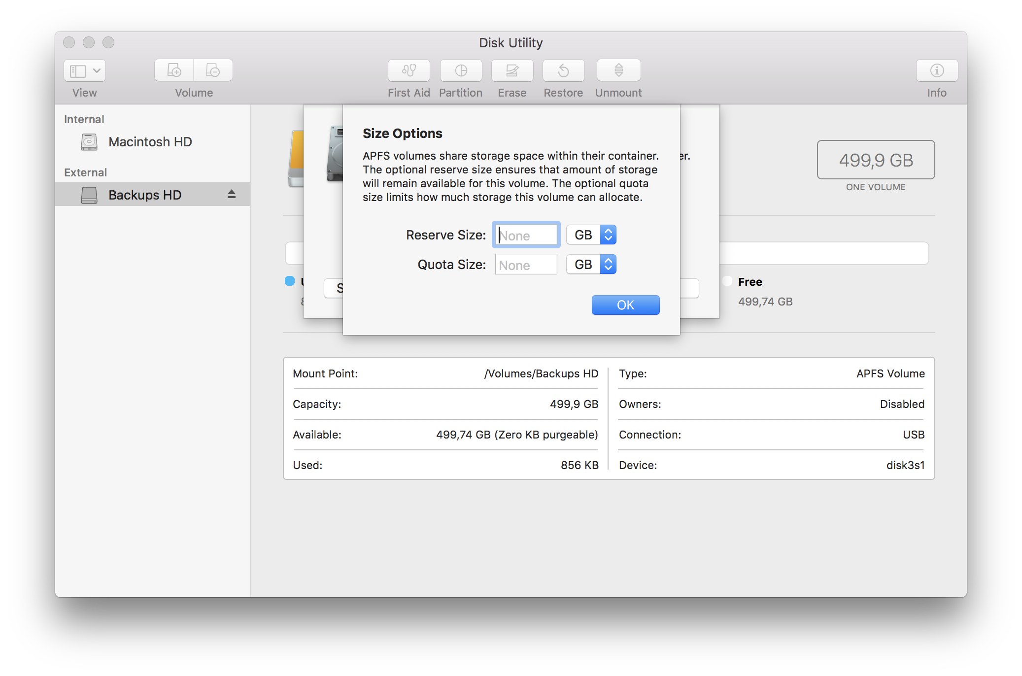 APFS volume size options